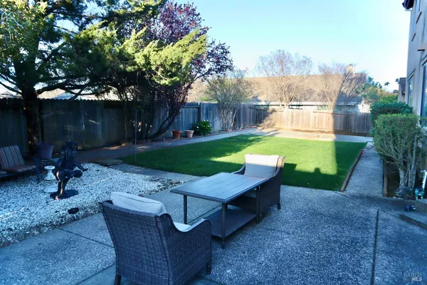 a view of a backyard with plants and tree