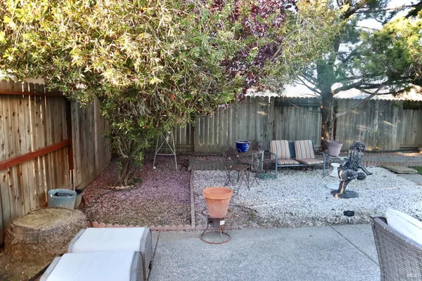 a view of backyard with a barn and a large cactus tree
