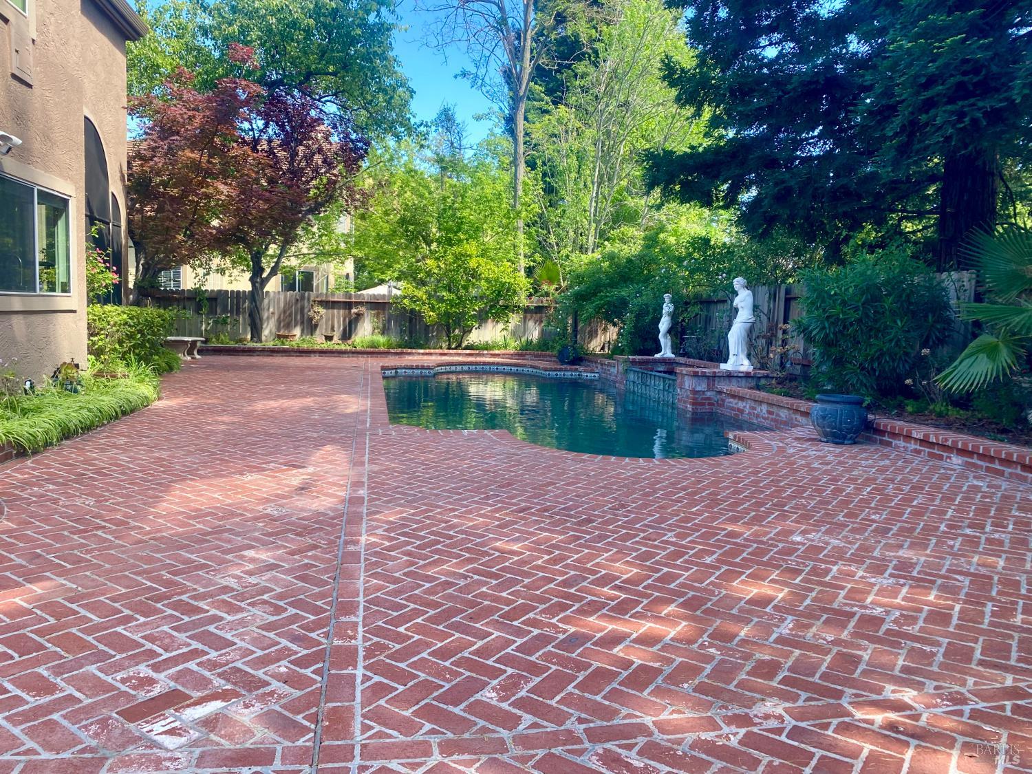 3229 Seminole Circle Fairfield, CA 94534 - Photo 43 of 73 a view of backyard with plants and trees