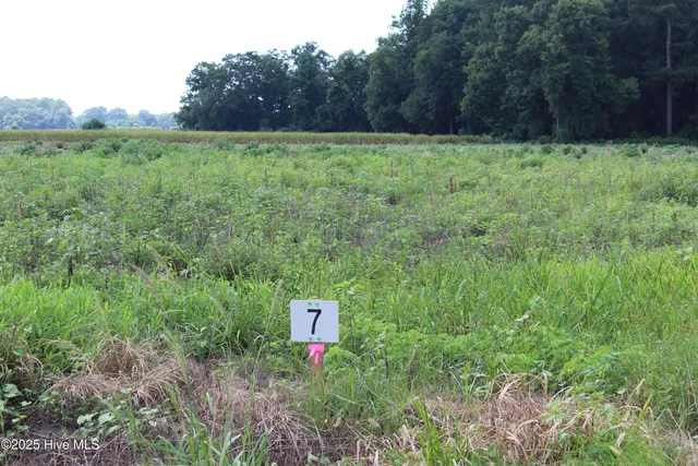$65,000 | Lot 7 Whaley Road, Kinston, NC 28501