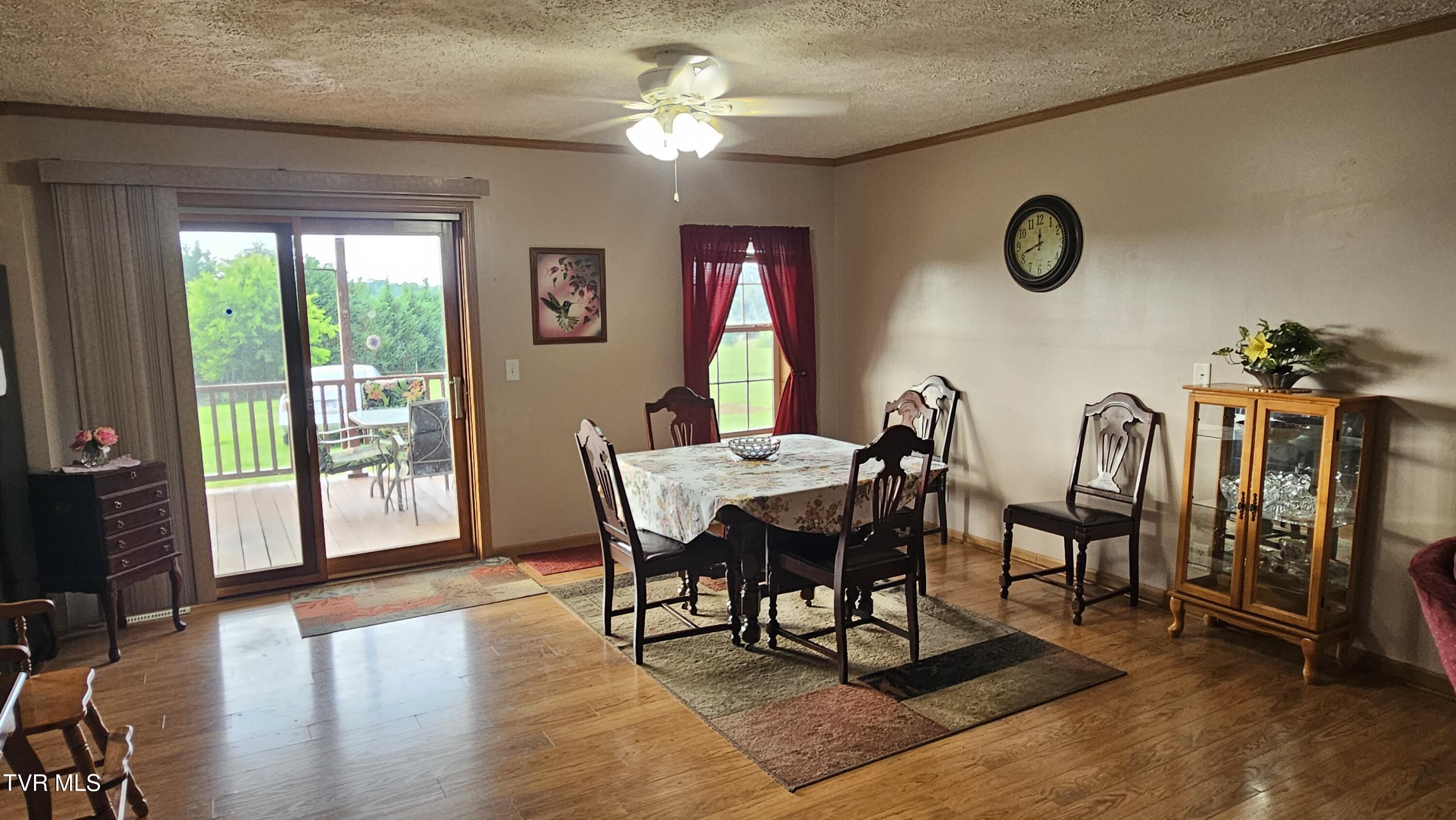 745 Barren Valley Road Chuckey, TN 37641 - Photo 3 of 58 20260601_183926