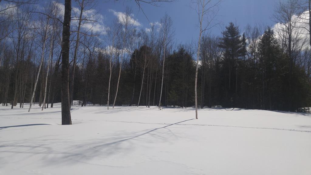 Lot 49 Mercer Road New Sharon, ME 04955 - Photo 4 of 12 Photo