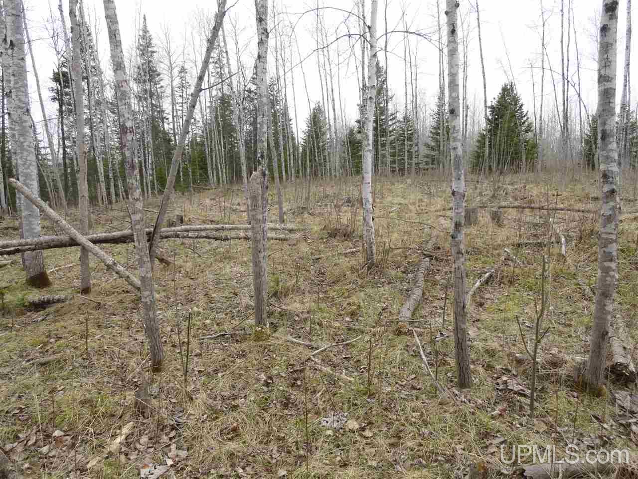 44-acres Ford River Road Arnold, MI 49831 - Photo 25 of 36