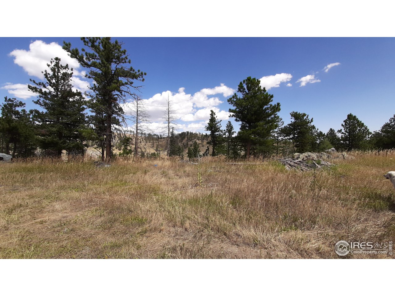 Rist Canyon Road Bellvue, CO 80512 - Photo 15 of 36 Gallery Image 15