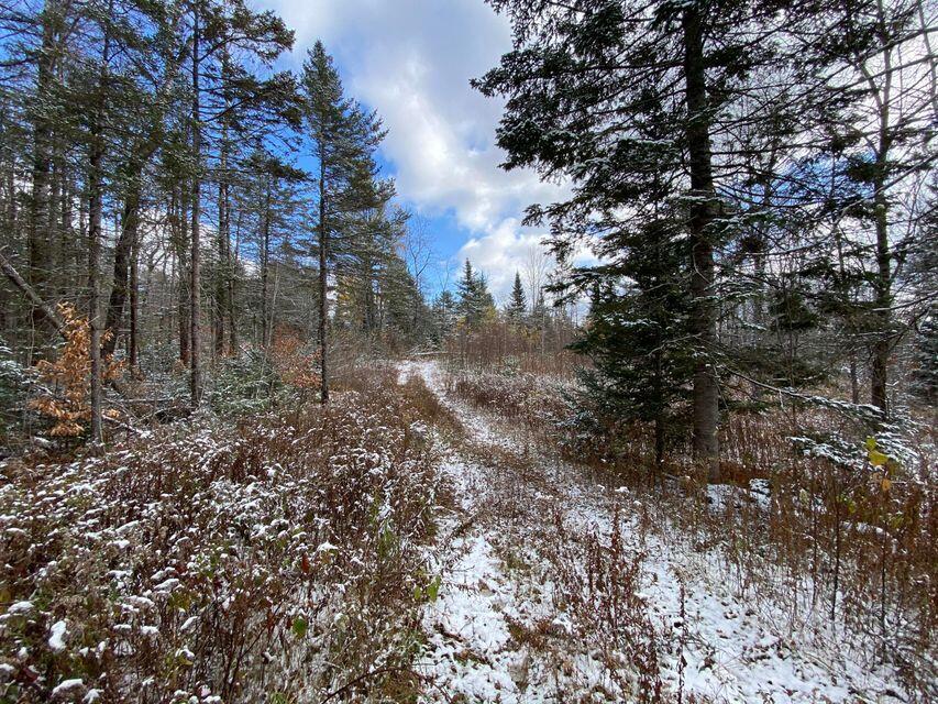 140 Works Road Jackson, ME 04921 - Photo 24 of 38 24