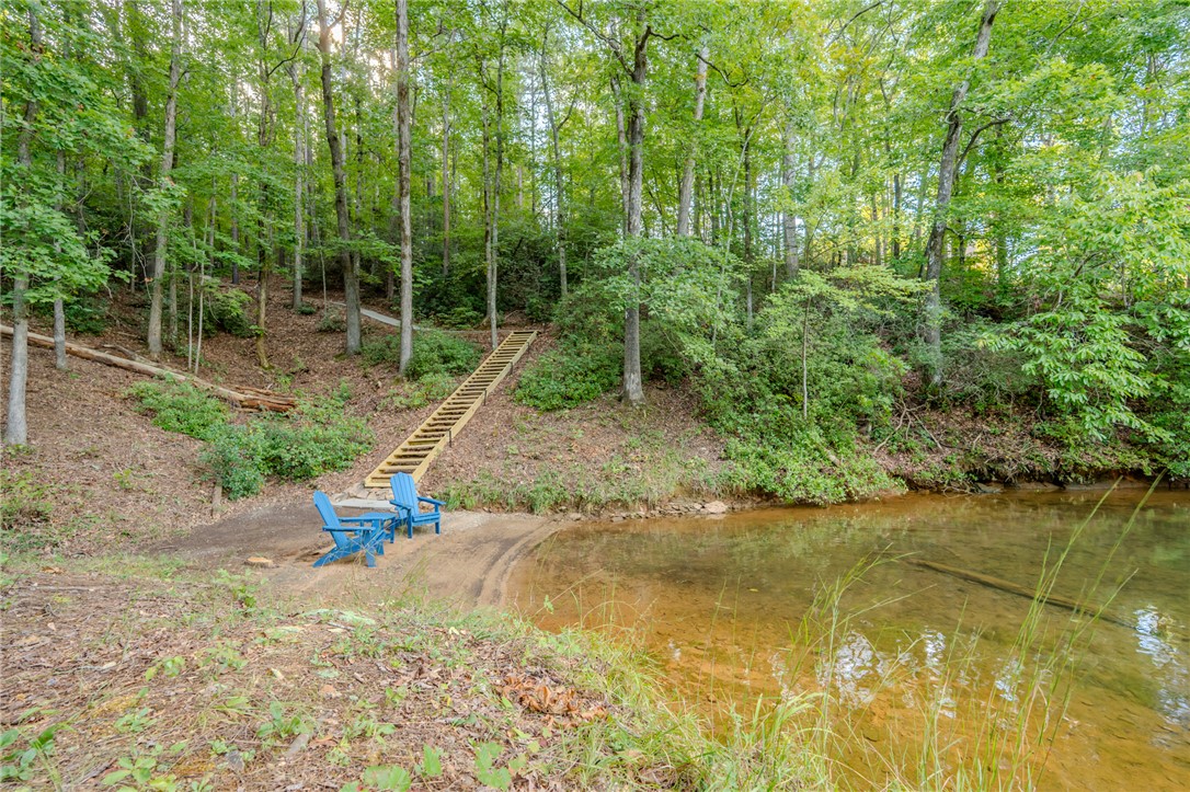 414 Sue Craig Road Six Mile, SC 29682 - Photo 46 of 50