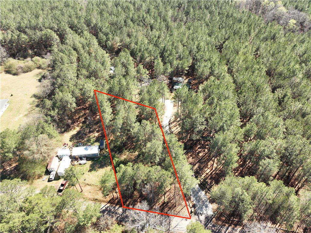 239 Fishers Cove Road Fair Play, SC 29643 - Photo 4 of 11 This expansive, tree-filled lot offers a serene escape, perfect for building a private retreat.