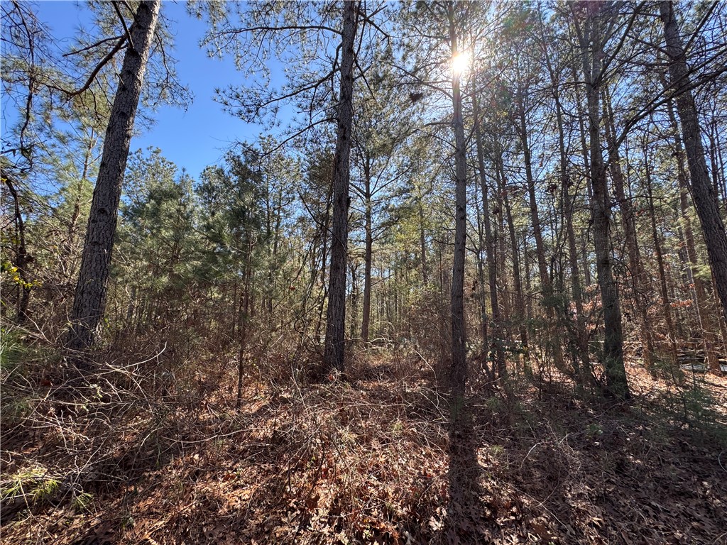 239 Fishers Cove Road Fair Play, SC 29643 - Photo 8 of 11 This tranquil wooded lot offers a serene natural setting for your future dream home.