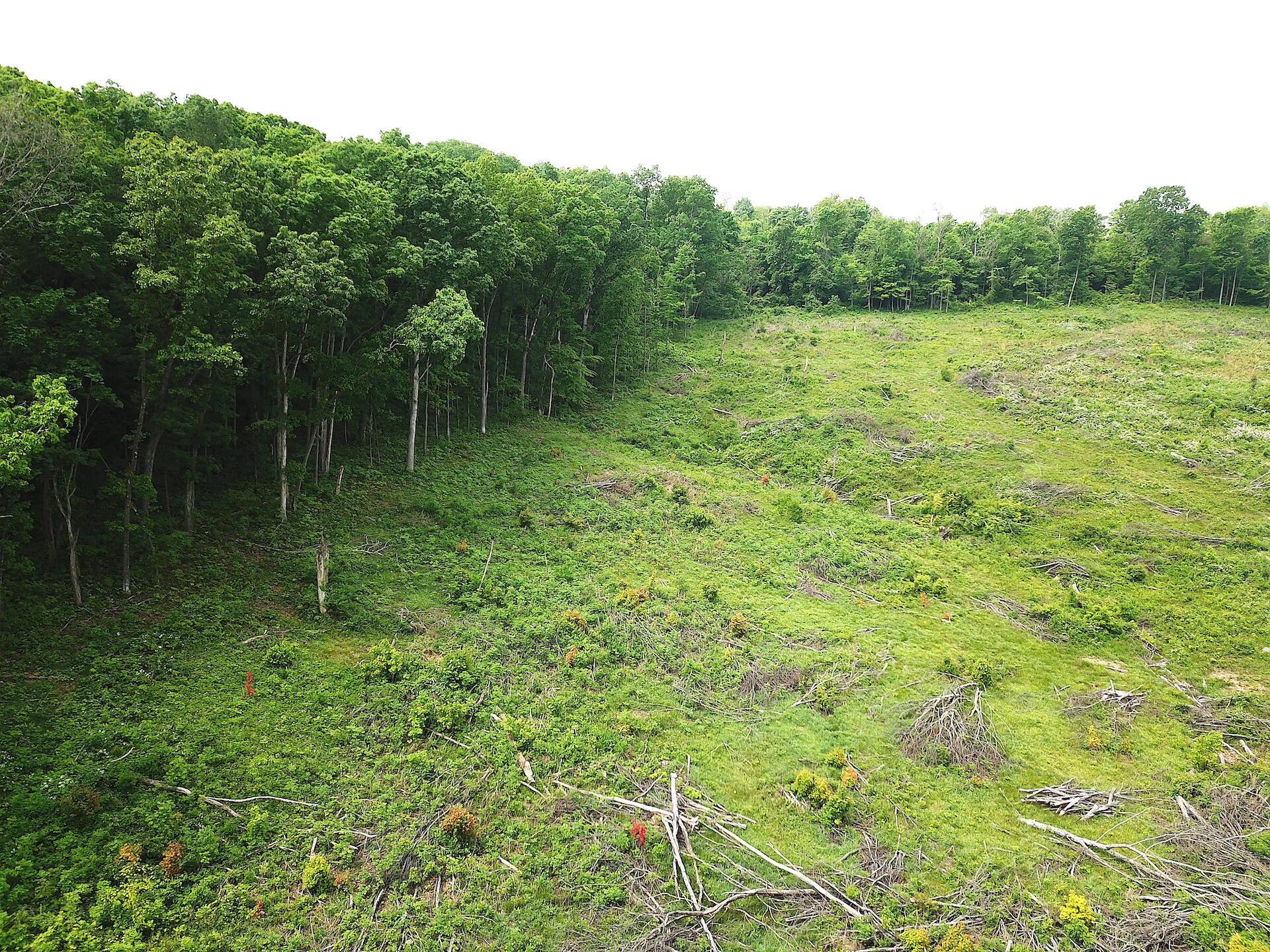 0 Beatty Road Waverly, OH 45690 - Photo 13 of 28 DJI_0976