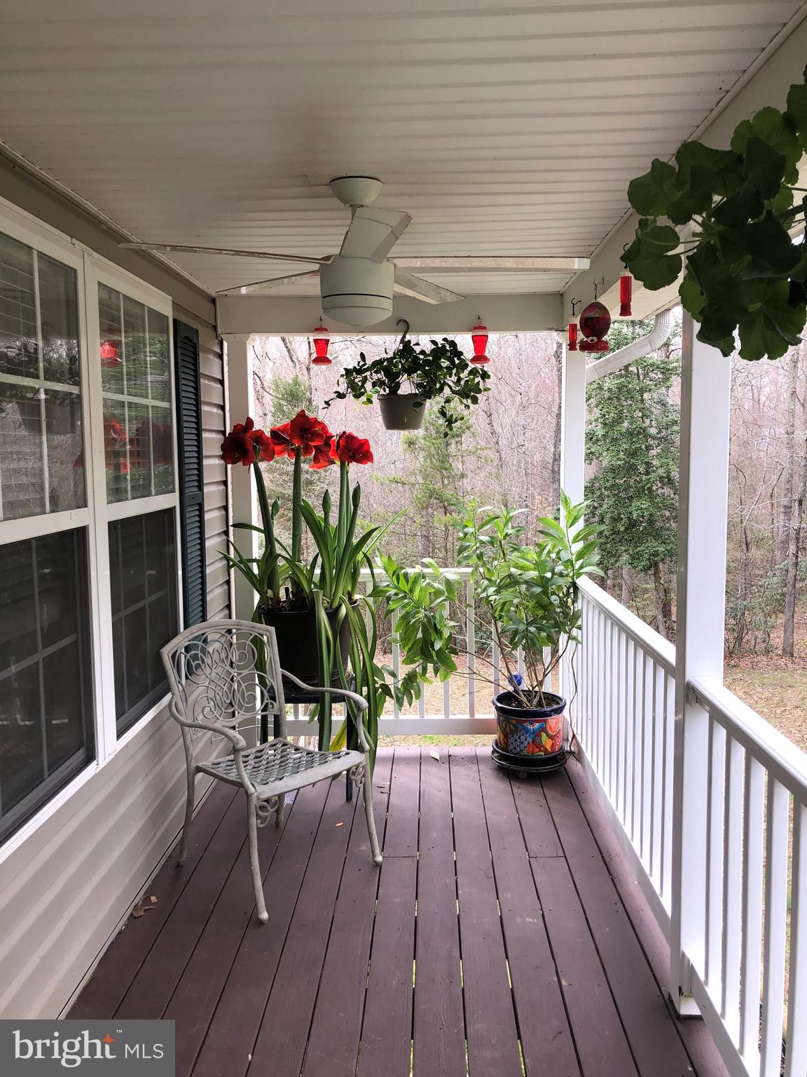 4575 Courtneys Corner Road Sumerduck, VA 22742 - Photo 9 of 145 Flowers!