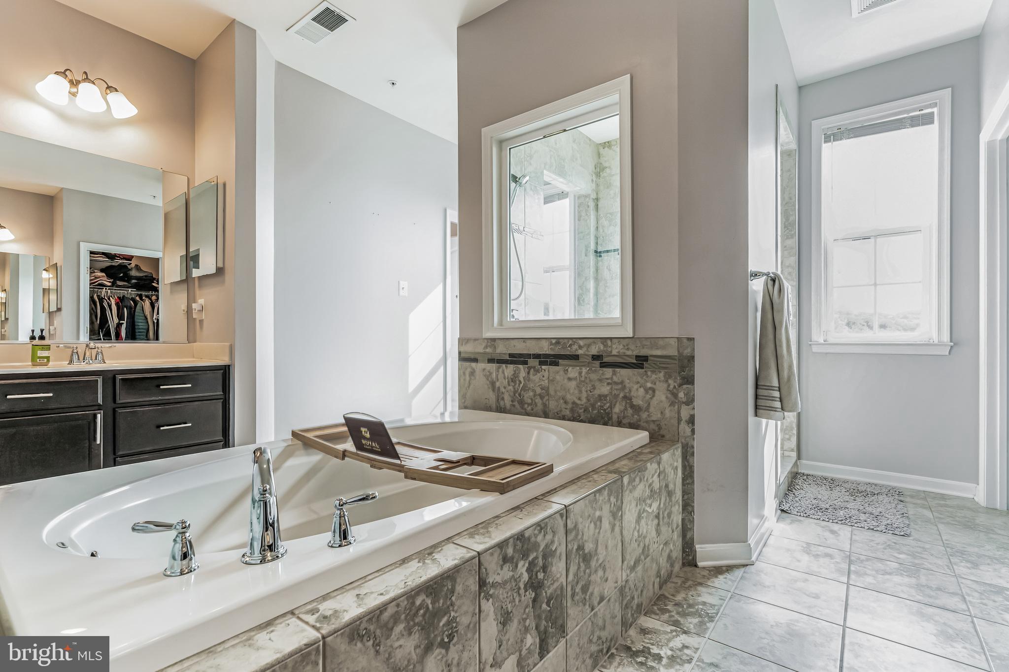 11538 Neon Road Fort Washington, MD 20744 - Photo 6 of 50 a bathroom with a sink and a mirror