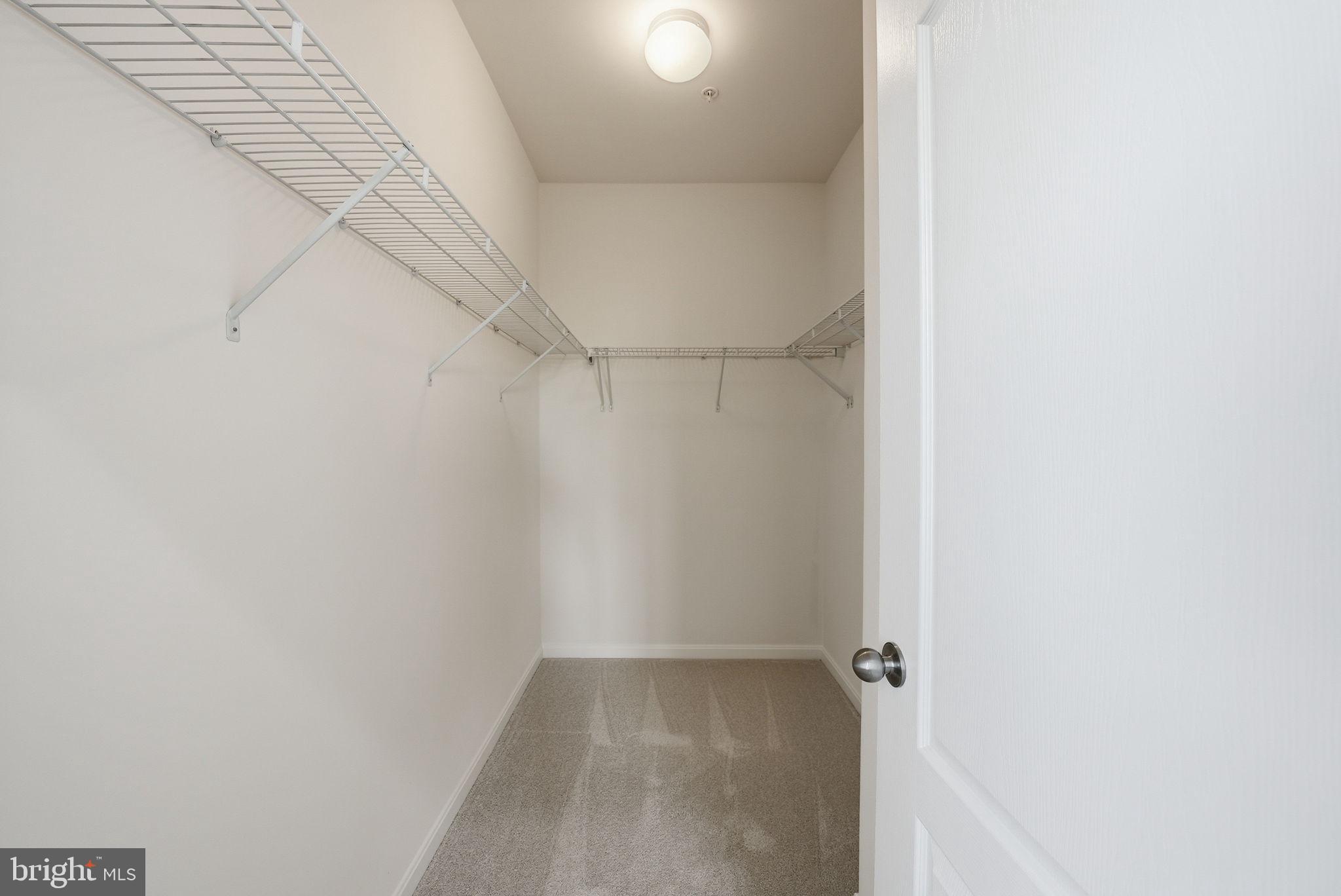 11538 Neon Road Fort Washington, MD 20744 - Photo 73 of 105 Primary Walk-In double closets