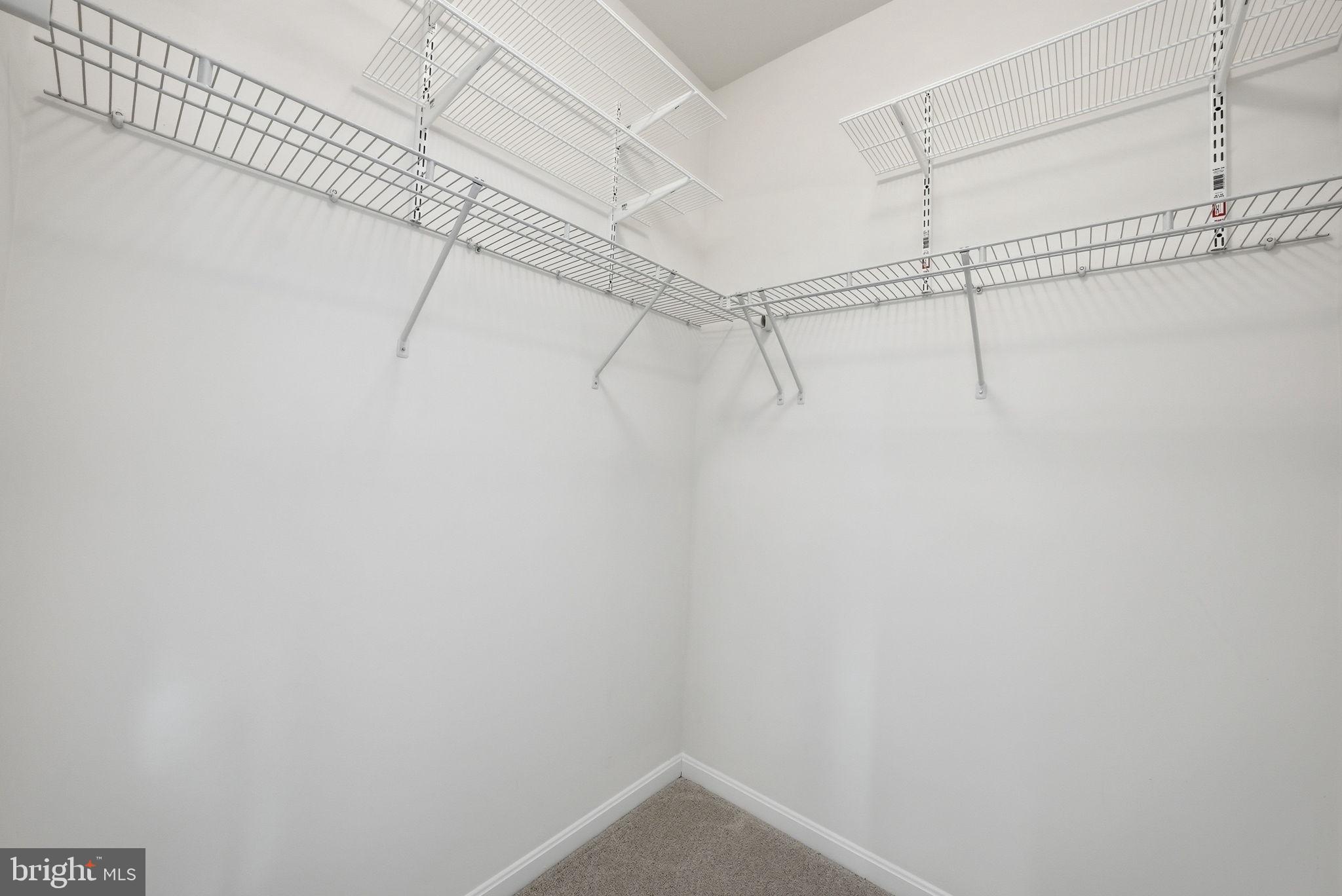 11538 Neon Road Fort Washington, MD 20744 - Photo 75 of 105 Primary Walk-In double closets