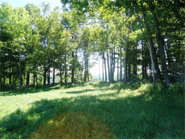 Lot 7 Ridge Road Hardwick, MA 01037 - Photo 10 of 20 Gallery Image 10