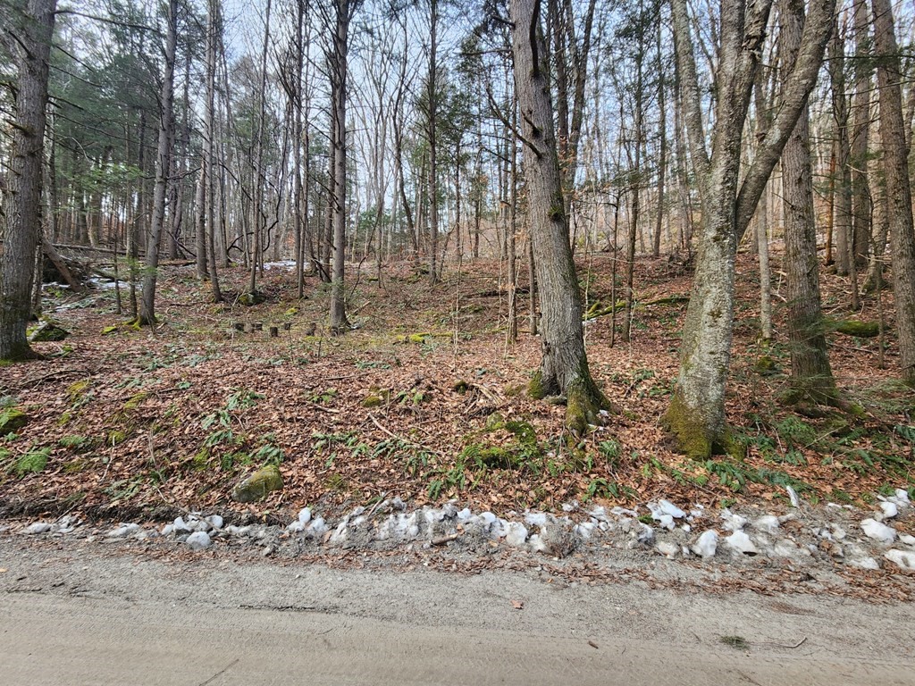 0 North Green River Road Colrain, MA 01340 - Photo 5 of 11 Gallery Image 5