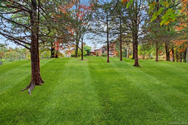 a huge green field with lots of trees