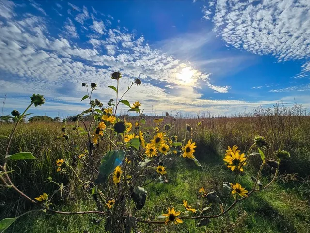 $470,000 | 1518 330th Street, Tampa, KS 67483