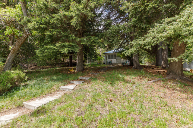 6449 North North Fork Road Eden, UT 84310 - Photo 3 of 38 Wooded property featuring mature evergreen trees and a sloped lawn with concrete step path