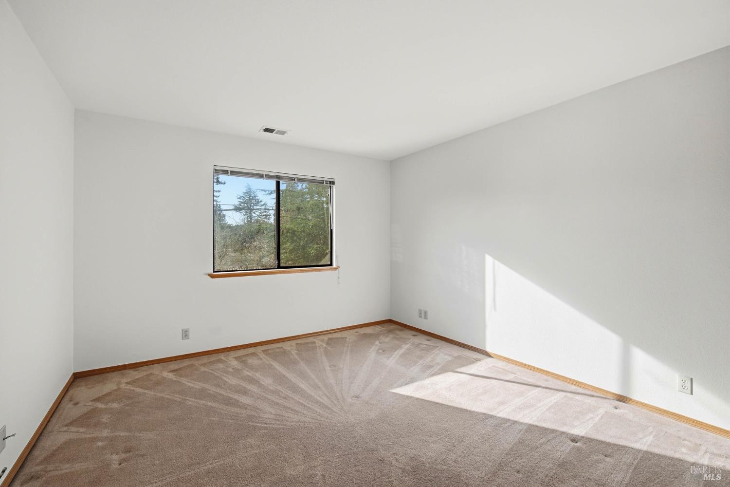 8123 Speer Ranch Road Forestville, CA 95436 - Photo 37 of 54