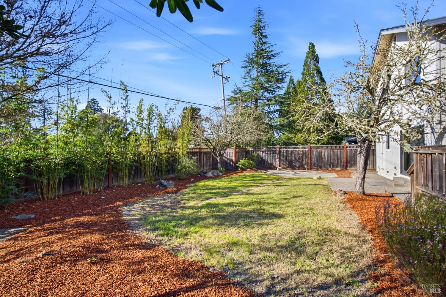 8123 Speer Ranch Road Forestville, CA 95436 - Photo 45 of 54