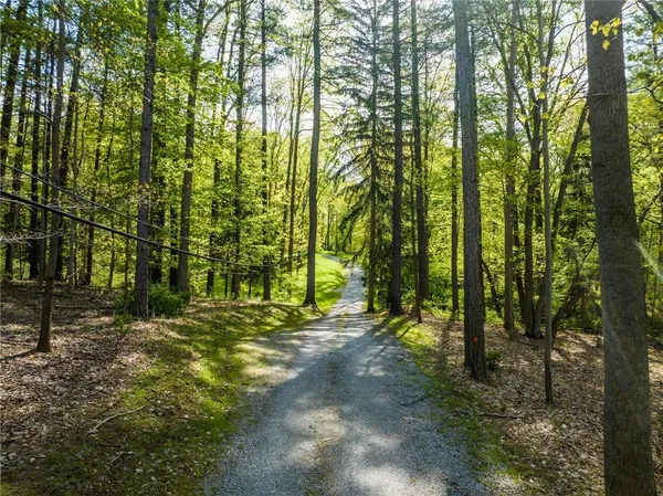 a view of outdoor space and trees