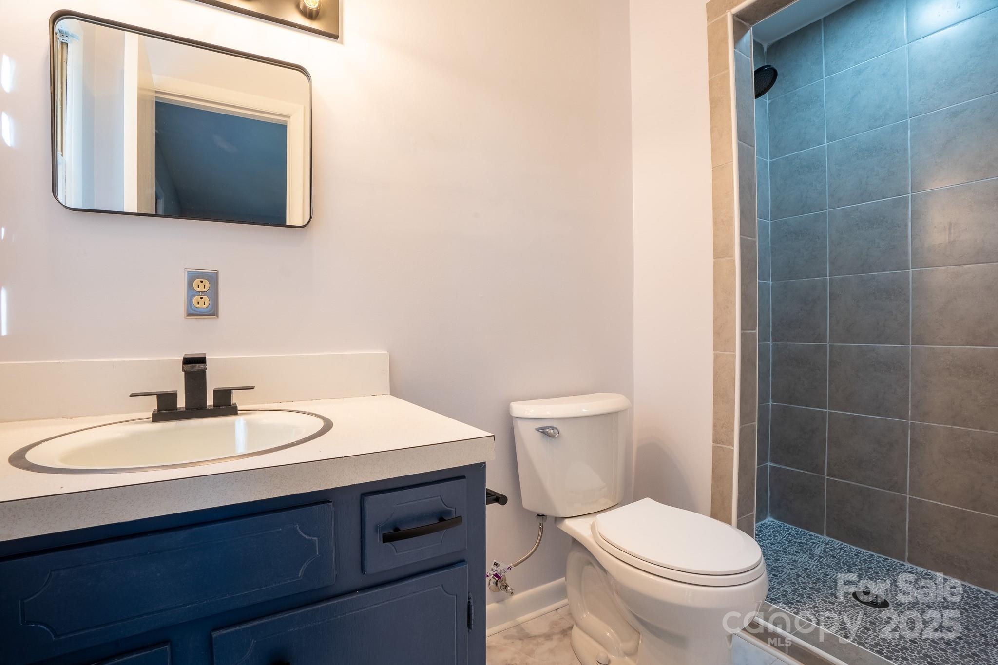 3851 Idlewood Acres Road Hickory, NC 28601 - Photo 19 of 34 a bathroom with a sink toilet and mirror