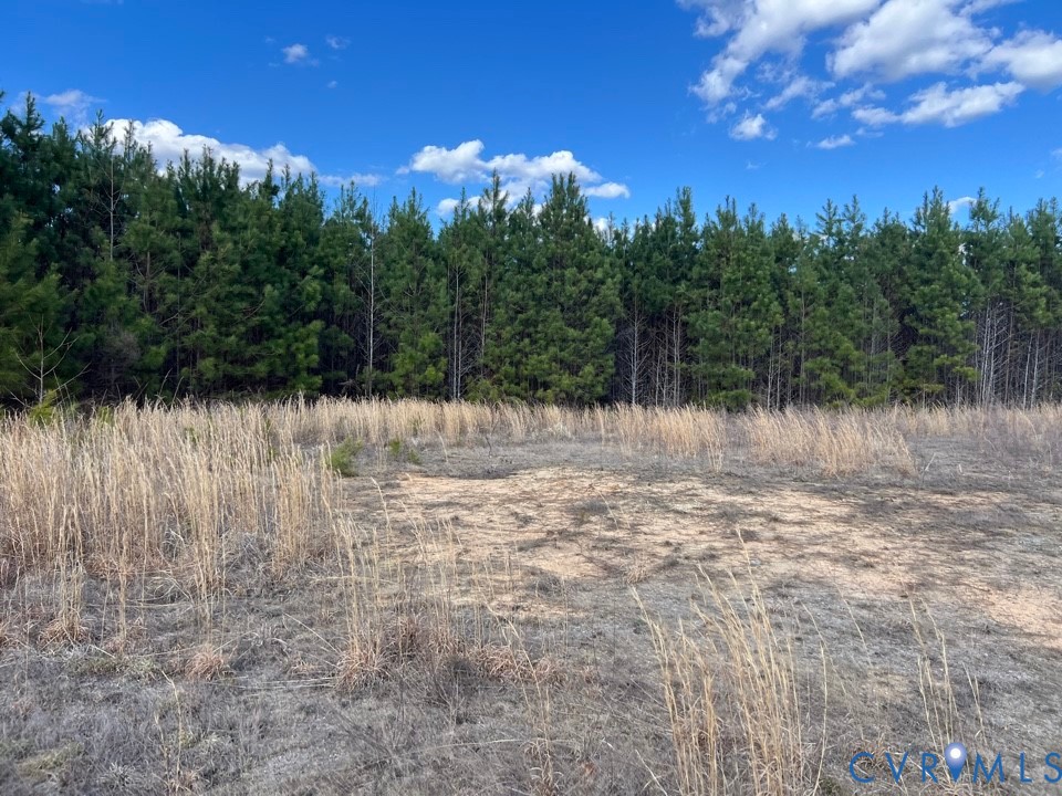 0 Cox -460 Business Road Blackstone, VA 23824 - Photo 5 of 5 Open land parcel featuring a tree line of mature e