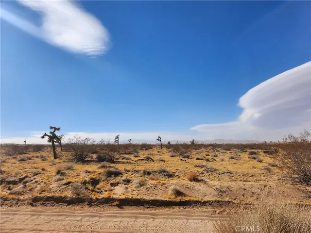 $25,000 | 0 Ducor Avenue, Landers, CA 92285