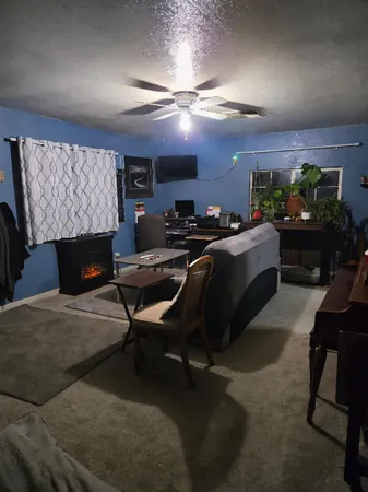a living room with furniture a potted plant and a fireplace