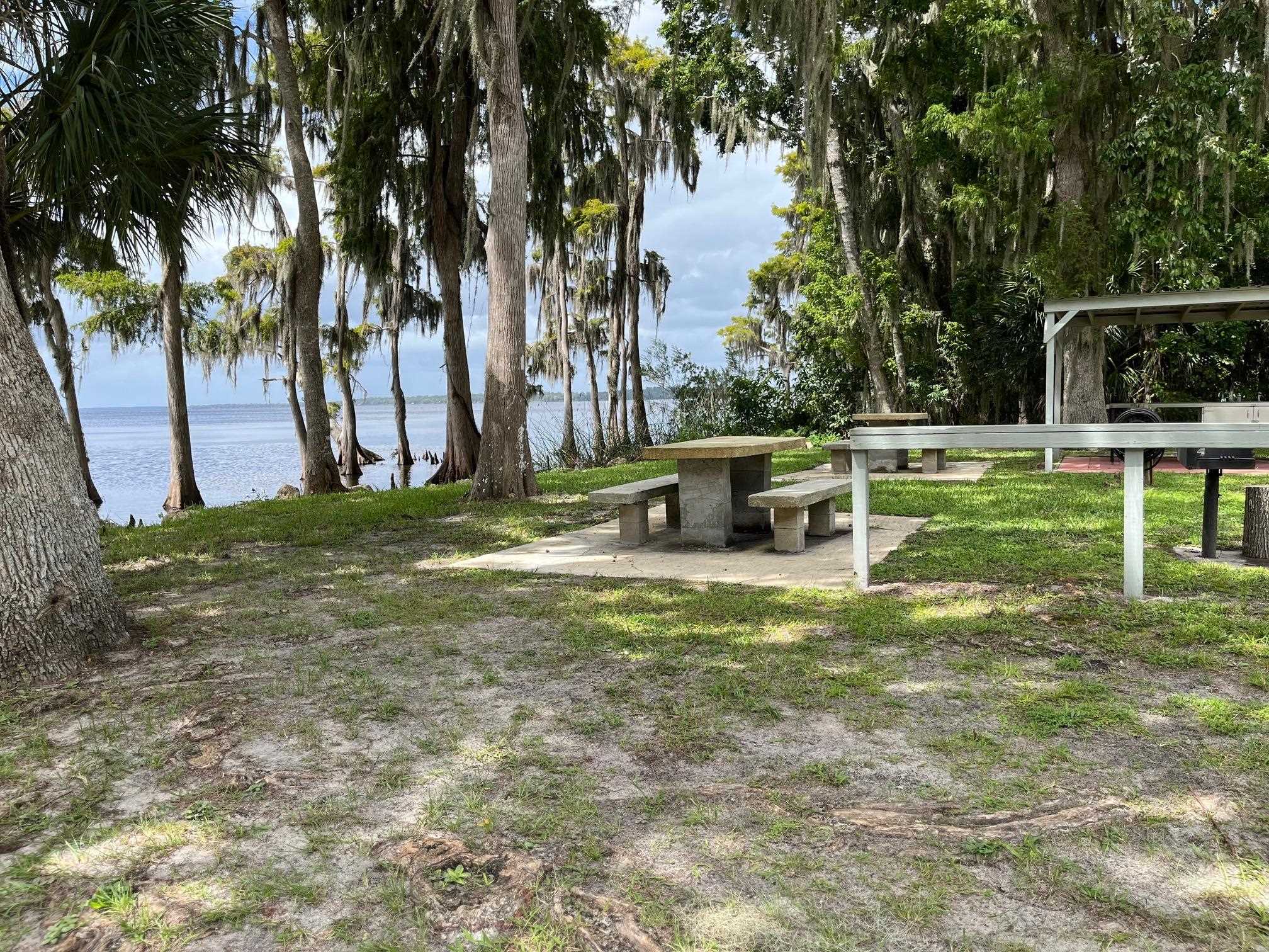 118 July Georgetown, FL 32139 - Photo 6 of 13 a backyard of a house with table and chairs