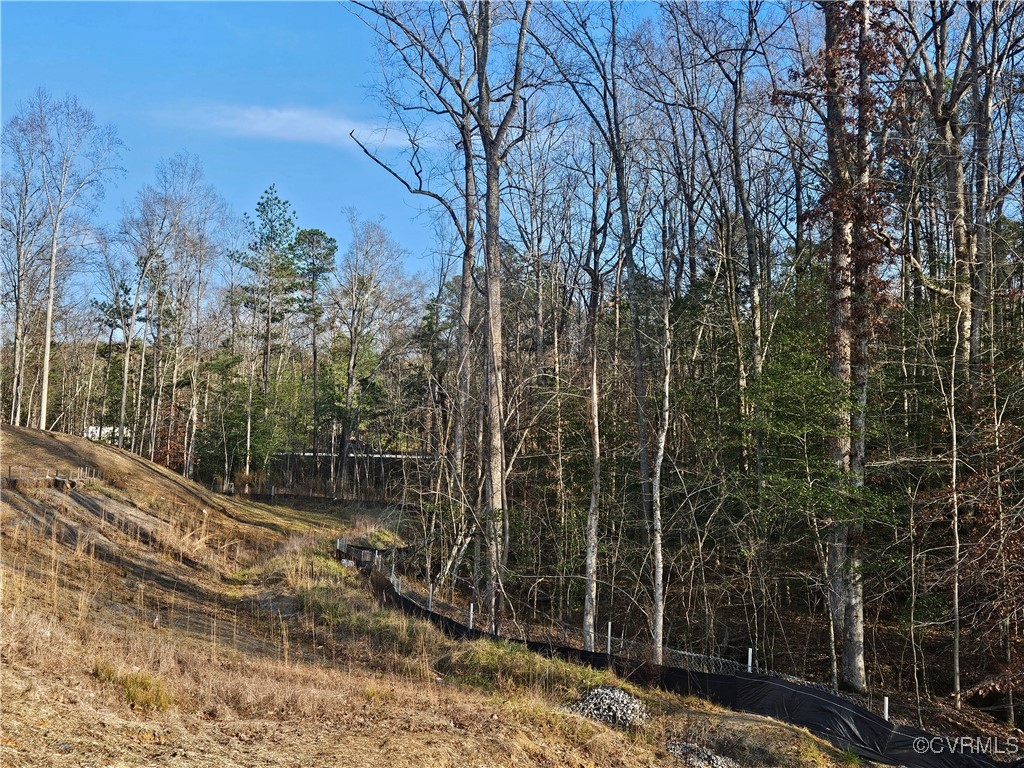 12812 Hull Street Road Midlothian, VA 23112 - Photo 3 of 8 a view of a backyard