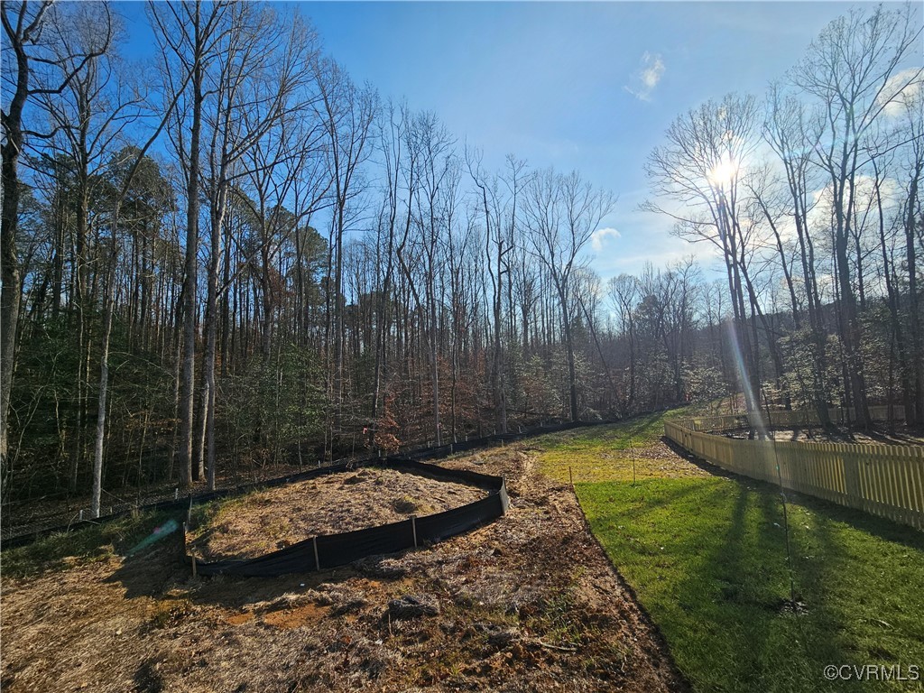 12812 Hull Street Road Midlothian, VA 23112 - Photo 4 of 8 a view of a backyard with large trees