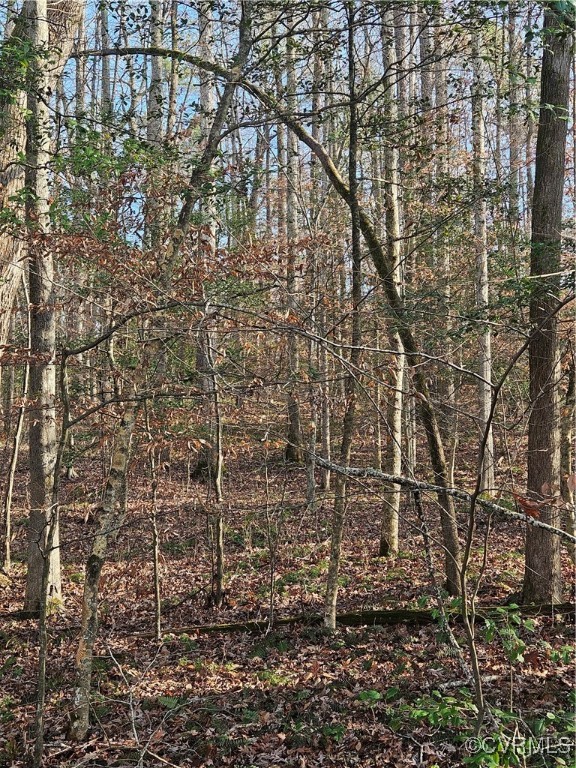 12812 Hull Street Road Midlothian, VA 23112 - Photo 5 of 8 a bathroom with a shower