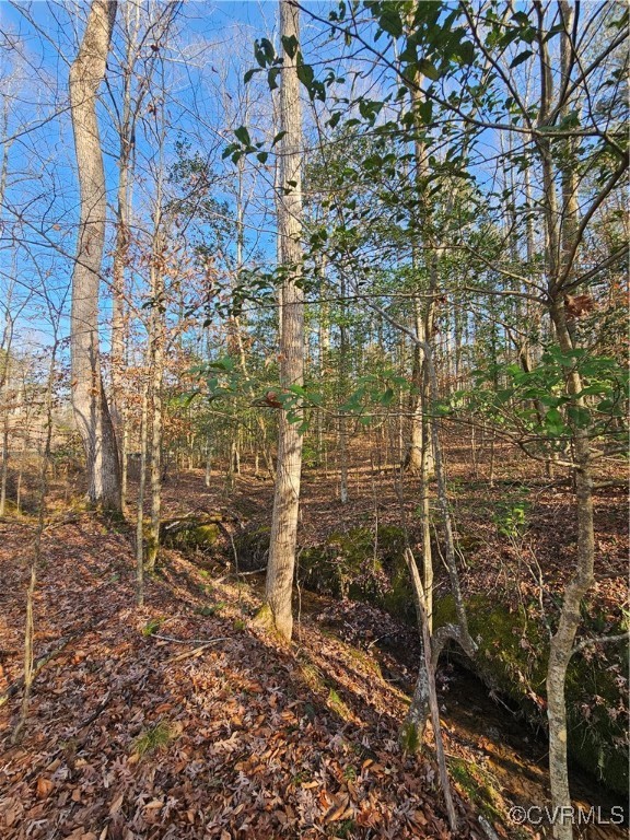 12812 Hull Street Road Midlothian, VA 23112 - Photo 6 of 8