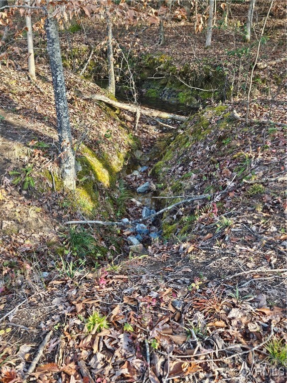 12812 Hull Street Road Midlothian, VA 23112 - Photo 7 of 8 a view of forest