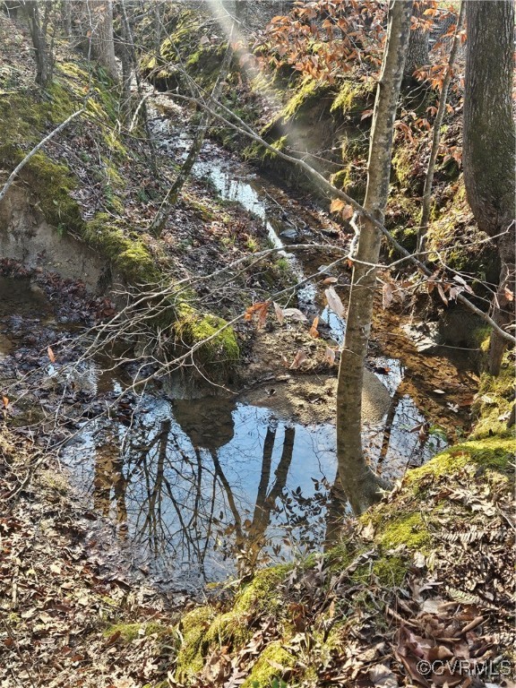 12812 Hull Street Road Midlothian, VA 23112 - Photo 8 of 8