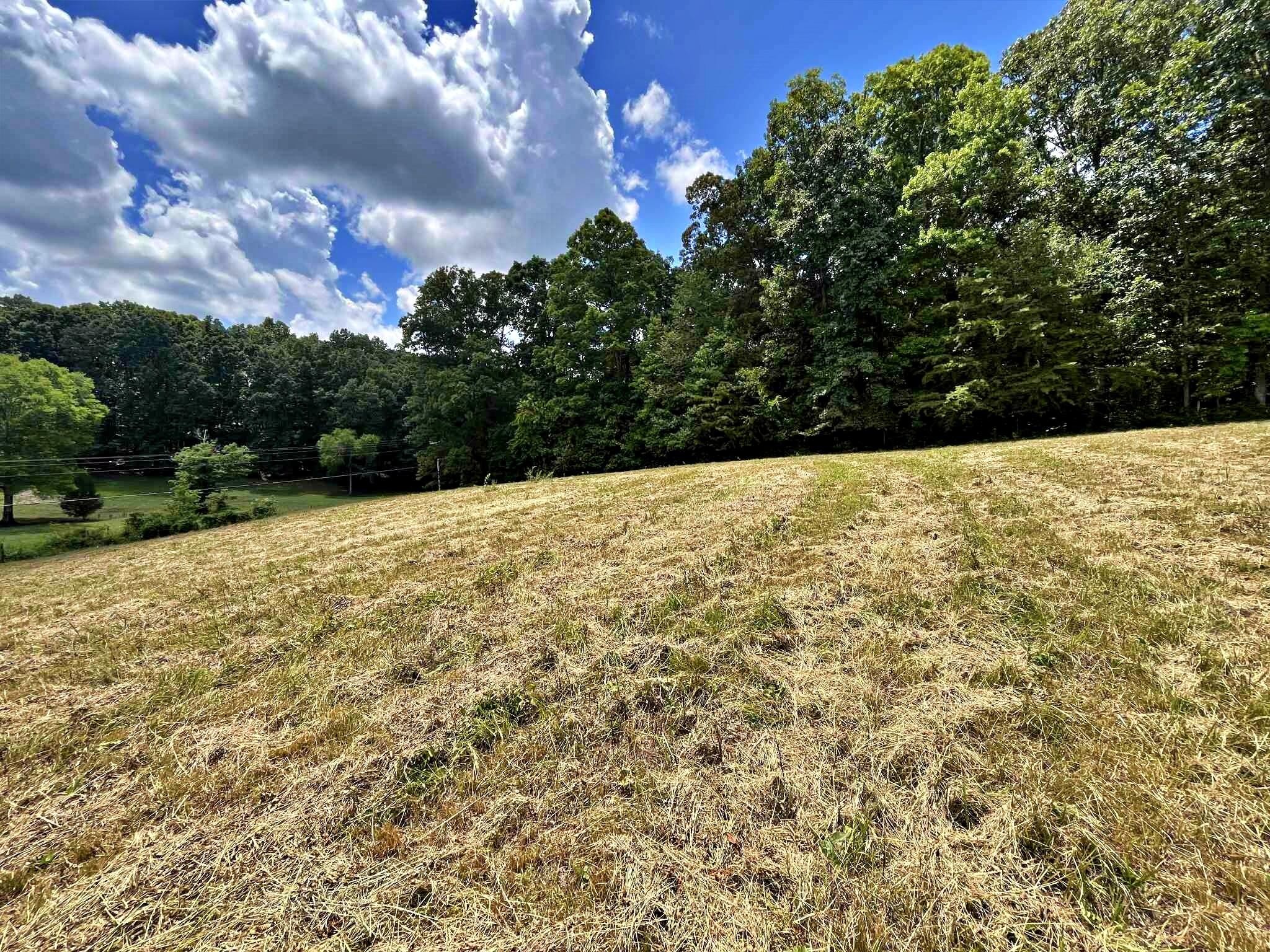 2 Keylon Hollow Road Ten Mile, TN 37880 - Photo 8 of 10