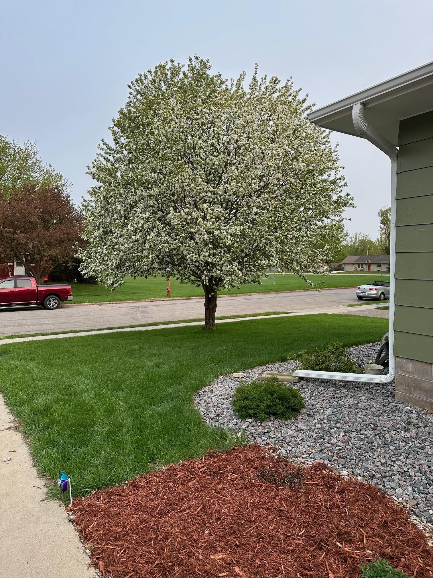 1302 10th Avenue Northeast Brainerd, MN 56401 - Photo 5 of 22