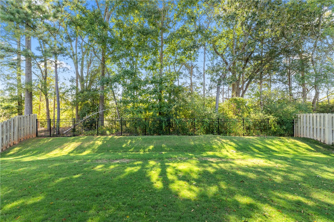 124 Spyglass Lane Pendleton, SC 29670 - Photo 37 of 43