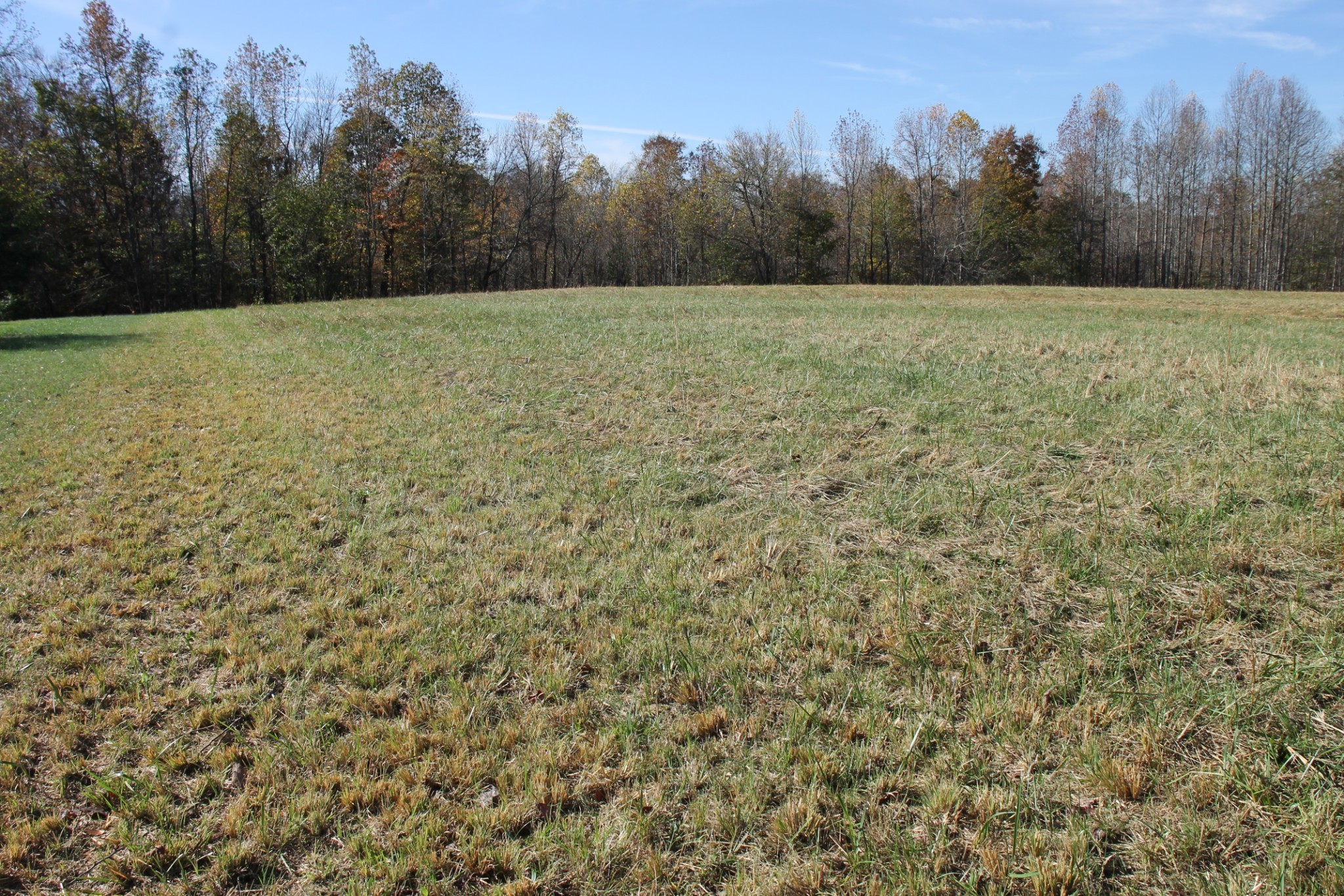 a view of a field with trees in the background