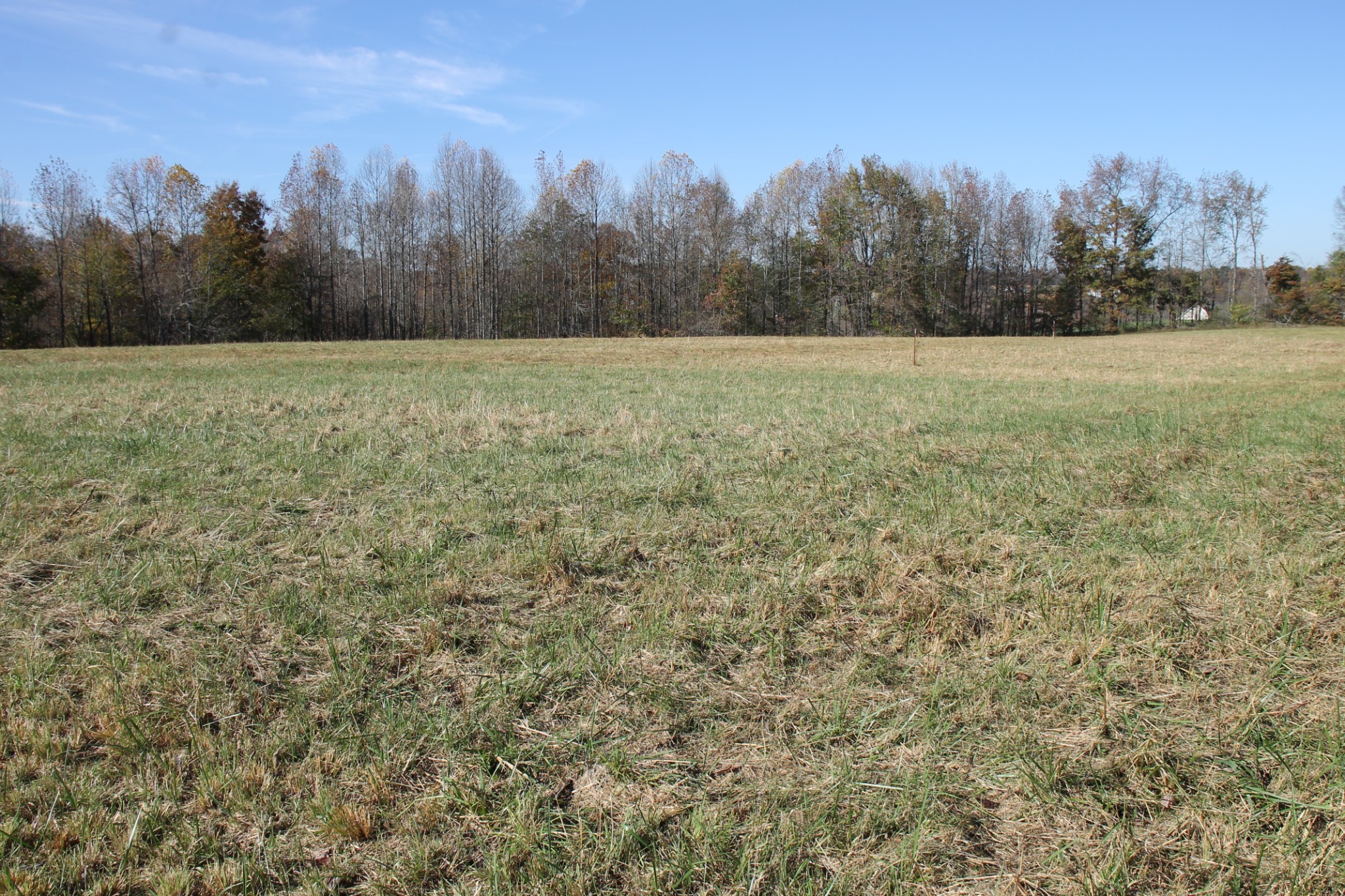 221 Whitson Road Bethpage, TN 37022 - Photo 3 of 8 a view of a field with trees in background