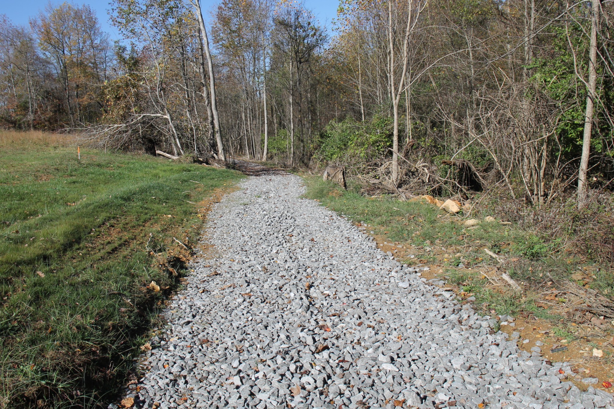 221 Whitson Road Bethpage, TN 37022 - Photo 4 of 8 a view of a yard with trees