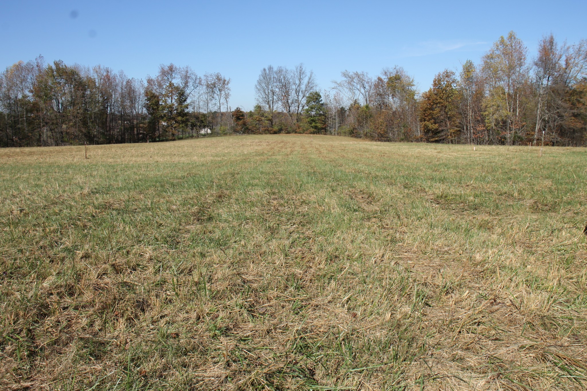 221 Whitson Road Bethpage, TN 37022 - Photo 5 of 8 a view of an outdoor space with a lake view