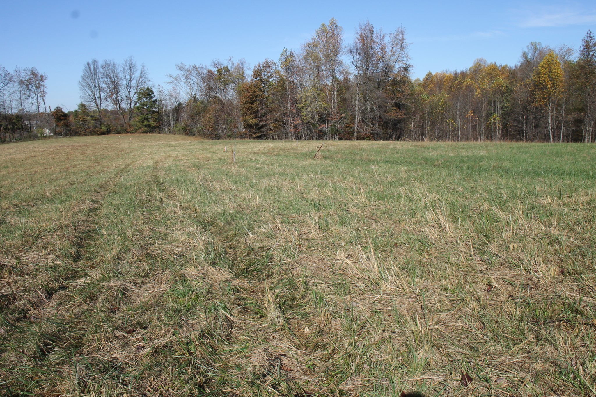 221 Whitson Road Bethpage, TN 37022 - Photo 7 of 8