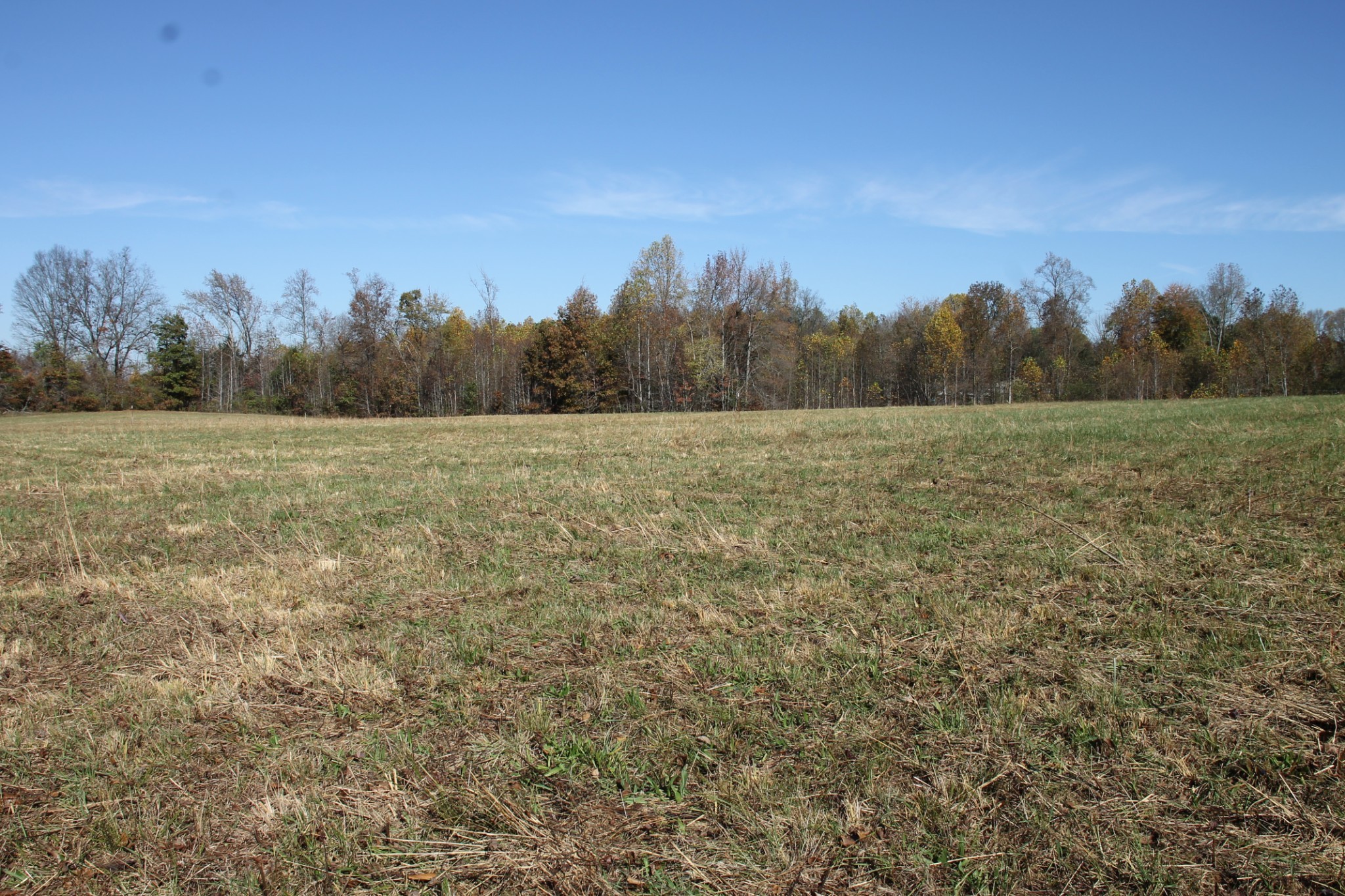 221 Whitson Road Bethpage, TN 37022 - Photo 8 of 8 a view of an outdoor space and a yard