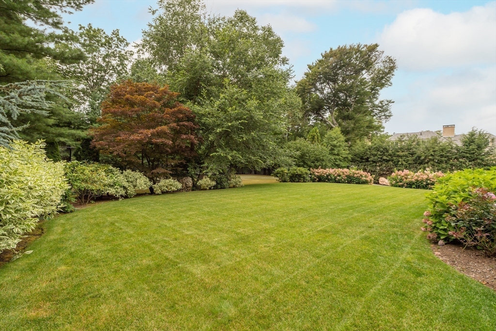355 Buckminster Road Brookline, MA 02445 - Photo 27 of 32 a view of a field with an trees