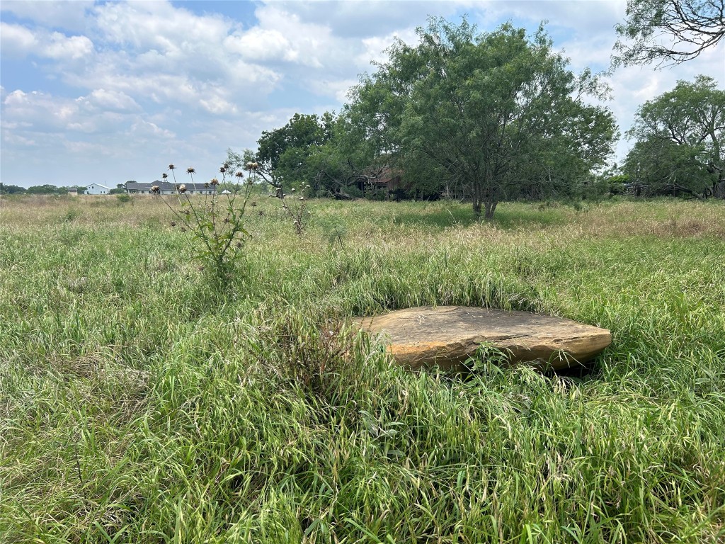 Tbd Watterson Road Red Rock, TX 78662 - Photo 1 of 1 a view of a backyard with a garden