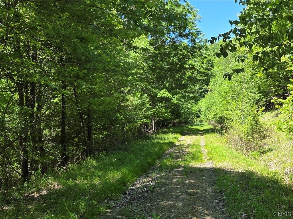 Lillibridge Road Olean, NY 14760 - Photo 45 of 48