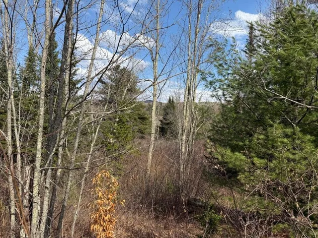 $285,000 | 390 Highway 118, Canaan, NH 03741