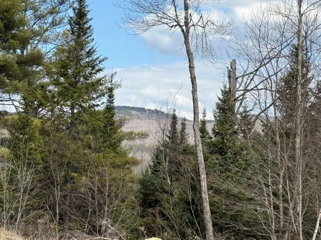 $285,000 | 390 Highway 118, Canaan, NH 03741